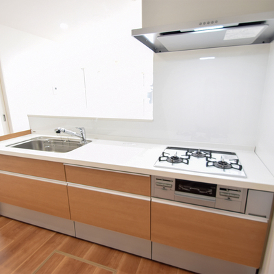 新潟市西区五十嵐二の町 新築Ｄ棟 テイラーハウス